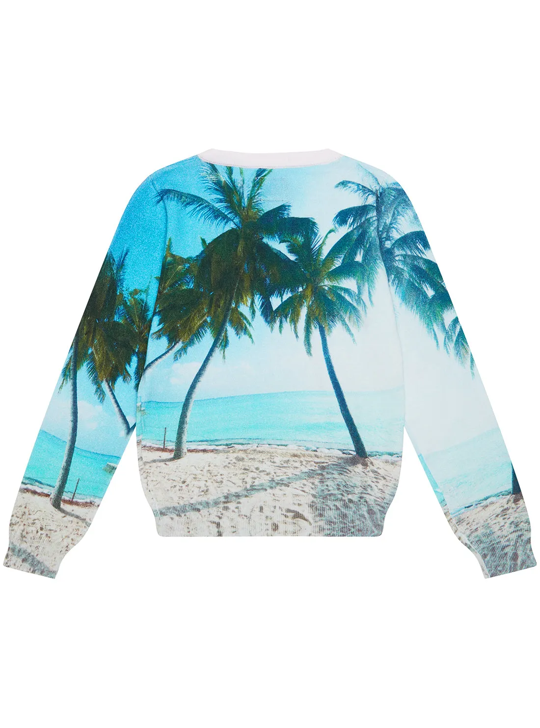 Blue Beach Print Jumper (2-7)