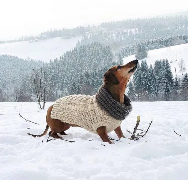 Chunky Oatmeal Sweater