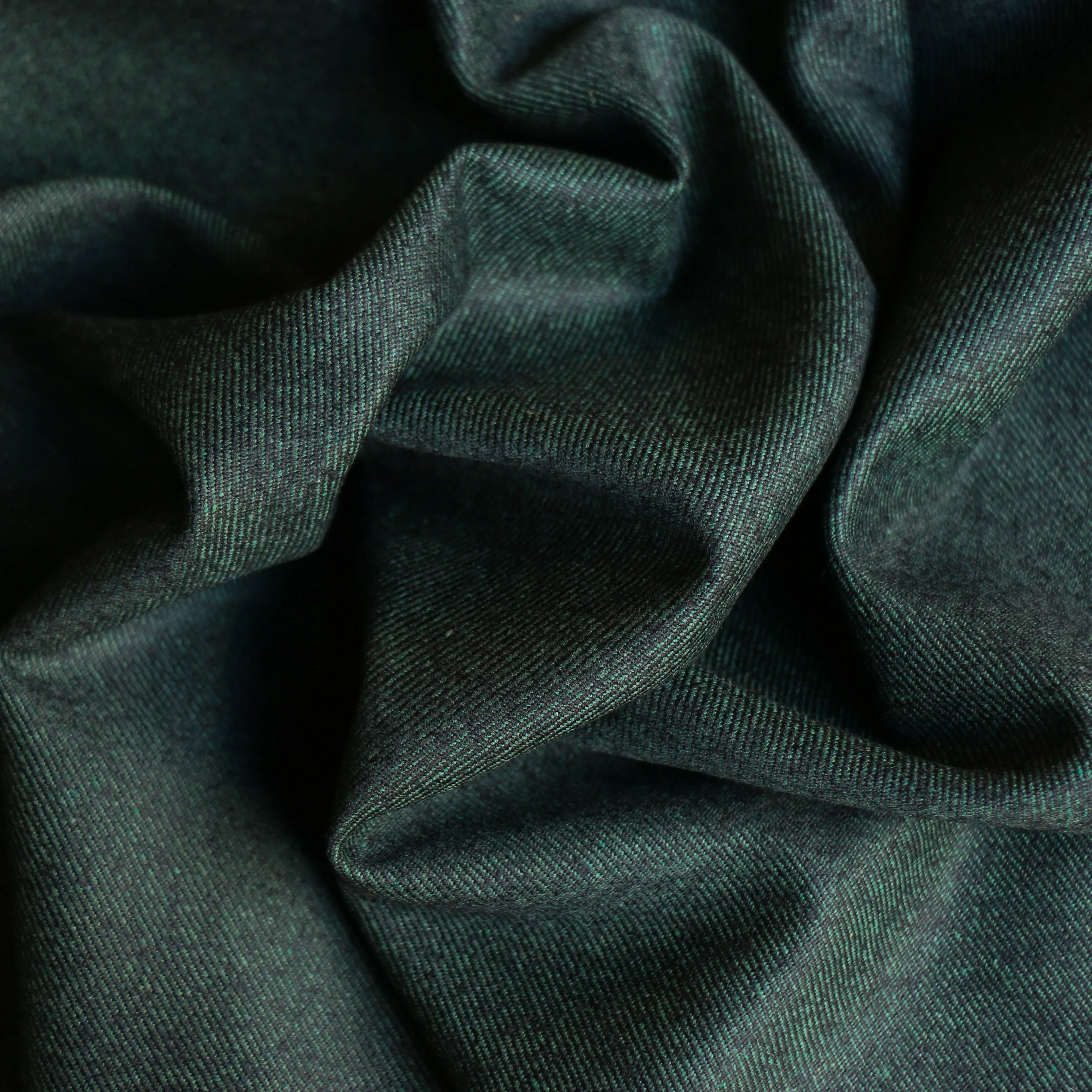 Cicoria Verde