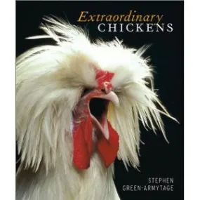 Extraordinary Chickens