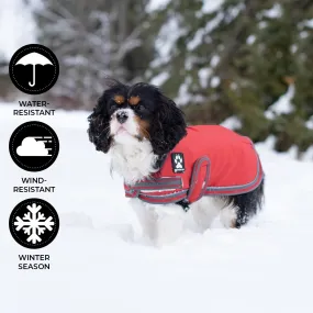 Shedrow K9 Vail Dog Coat Equestrian Red